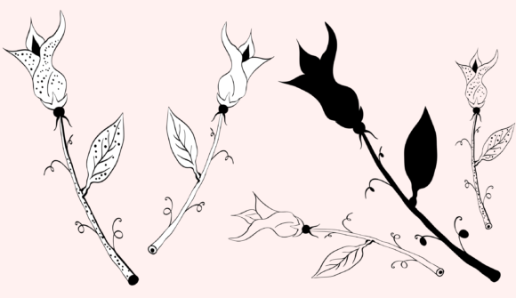 Aesthetic Rose Graphics & Illustrations for Digital Sellers