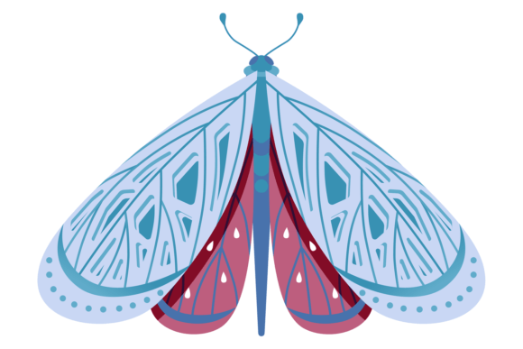 Blue Moth Ornamental Wings Graphics & Illustrations Review