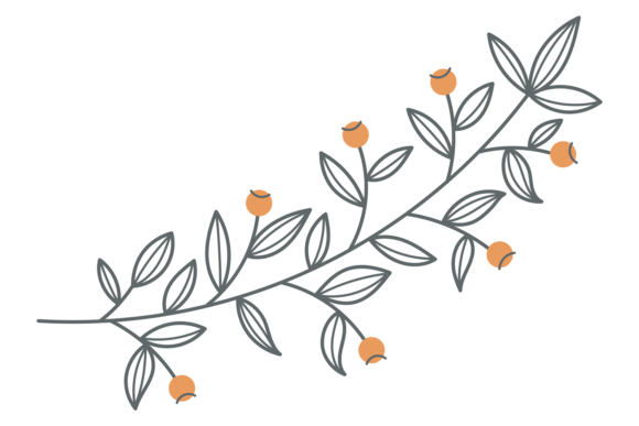 Botanical Branch with Leaves and Blossom Graphics & Illustrations