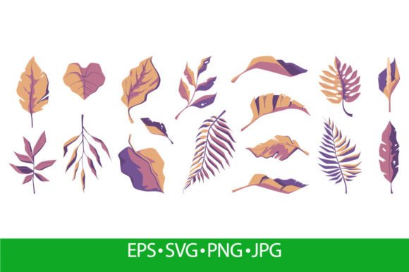 Exotic Leaf Collection: Tropical Abstrac Graphics Review