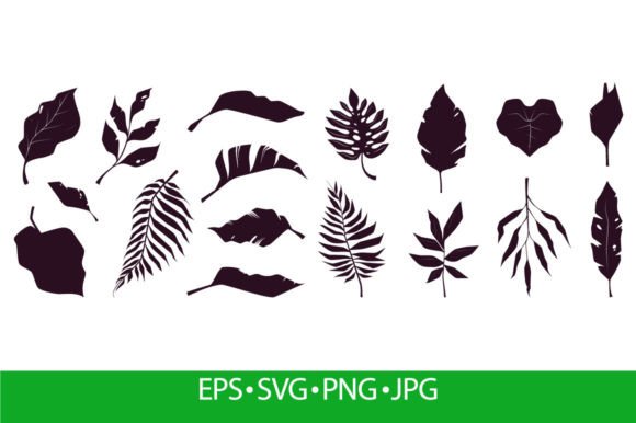 Exotic Tropical Leaves Silhouettes Graphics & Illustrations