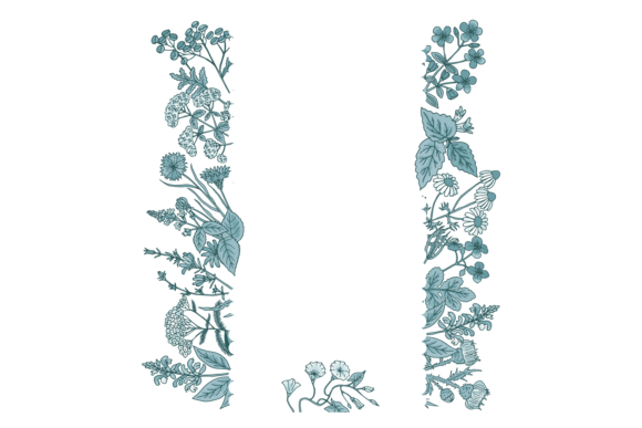 Floral Border with Hand Drawn Plants: A Designer's Review