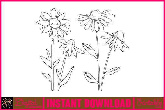 Sunflower Line Art Flower SVG: Graphics & Illustrations
